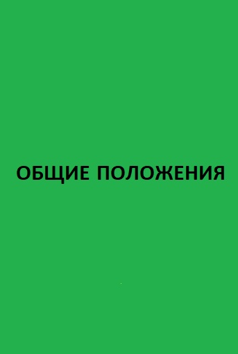 ОБЩИЕ ПОЛОЖЕНИЯ